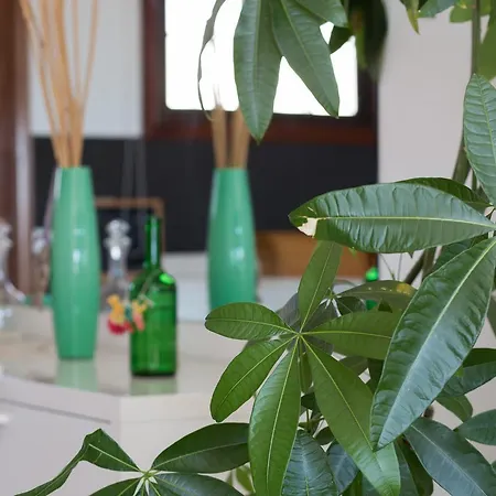Apartament Lau